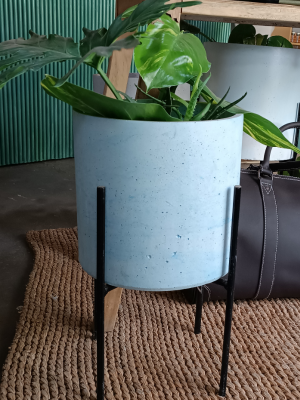 concrete planter with flower